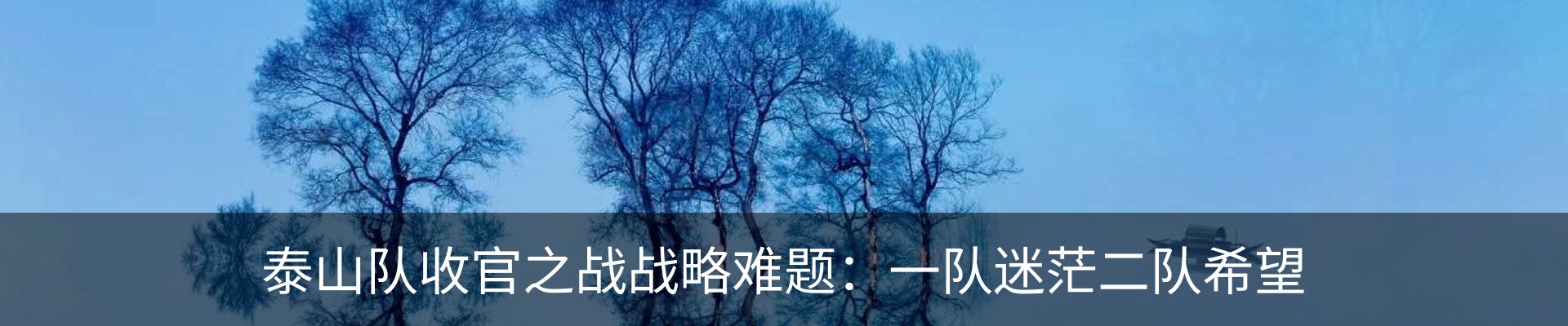 内页banner